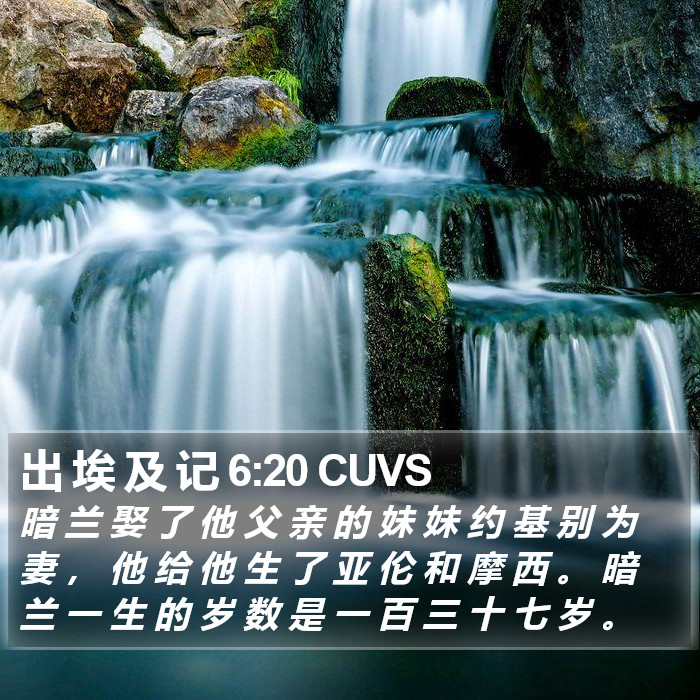 出 埃 及 记 6:20 CUVS Bible Study