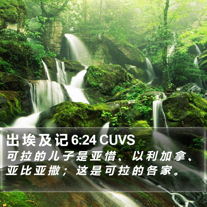 出 埃 及 记 6:24 CUVS Bible Study