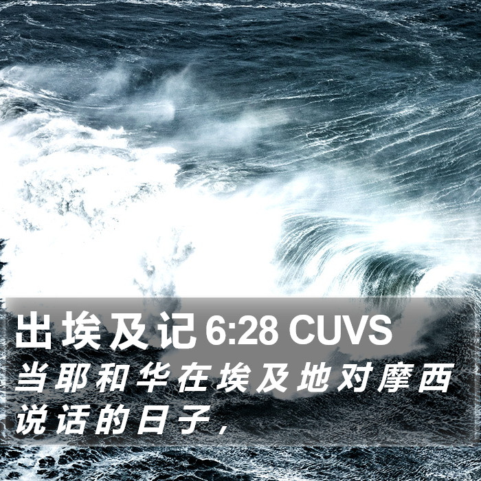 出 埃 及 记 6:28 CUVS Bible Study