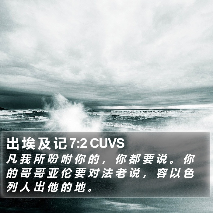 出 埃 及 记 7:2 CUVS Bible Study