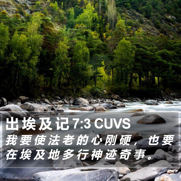 出 埃 及 记 7:3 CUVS Bible Study