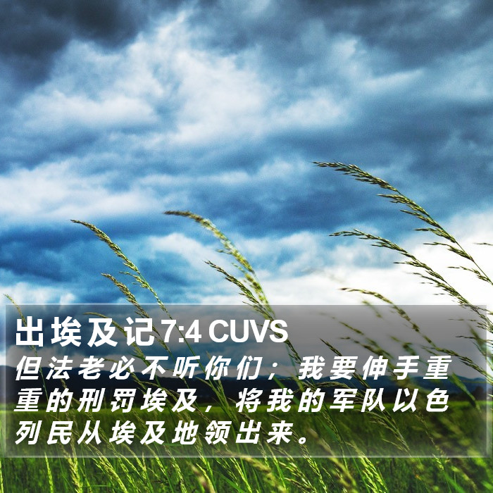 出 埃 及 记 7:4 CUVS Bible Study