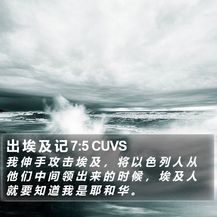出 埃 及 记 7:5 CUVS Bible Study
