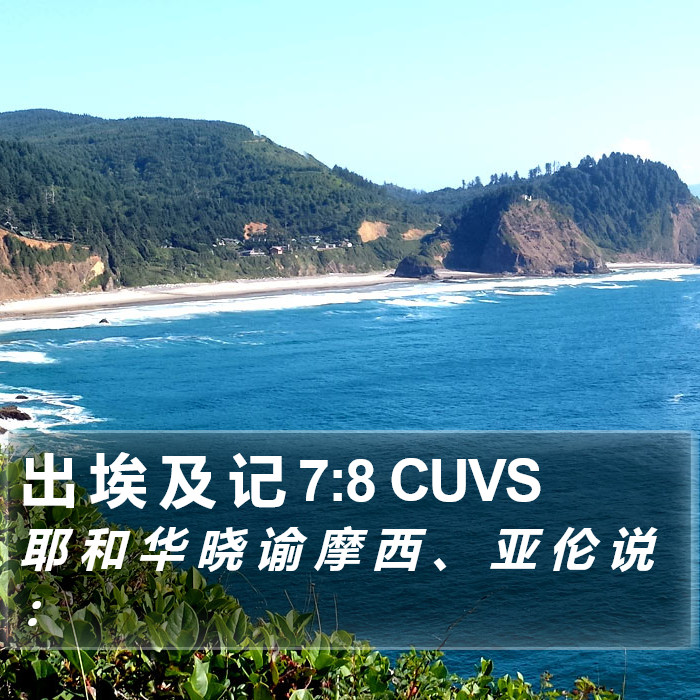 出 埃 及 记 7:8 CUVS Bible Study