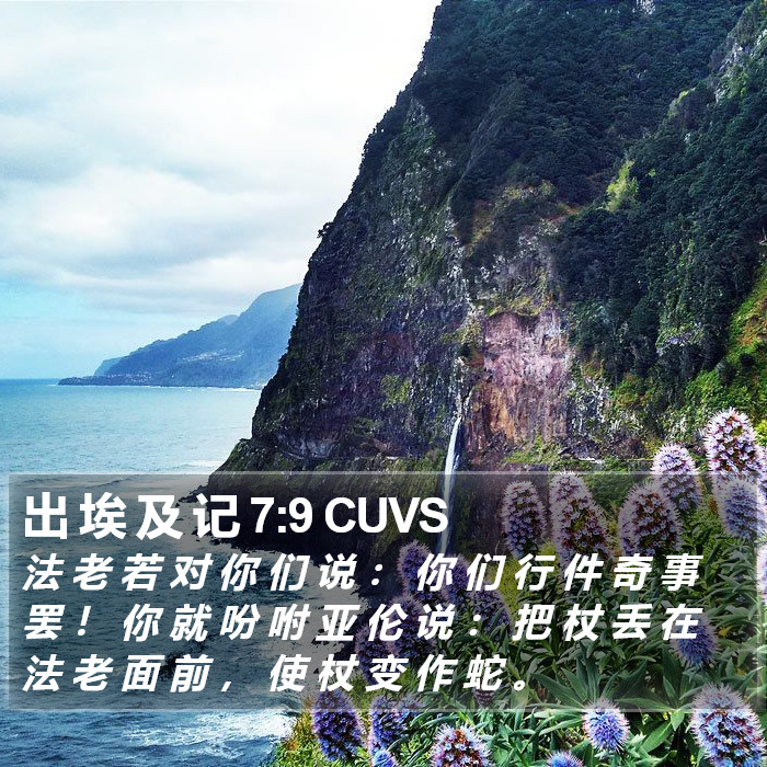 出 埃 及 记 7:9 CUVS Bible Study