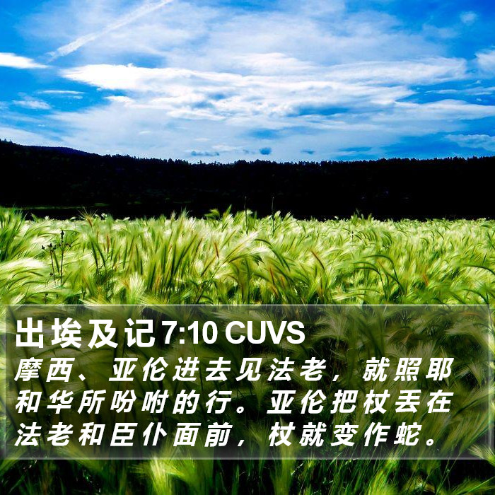 出 埃 及 记 7:10 CUVS Bible Study