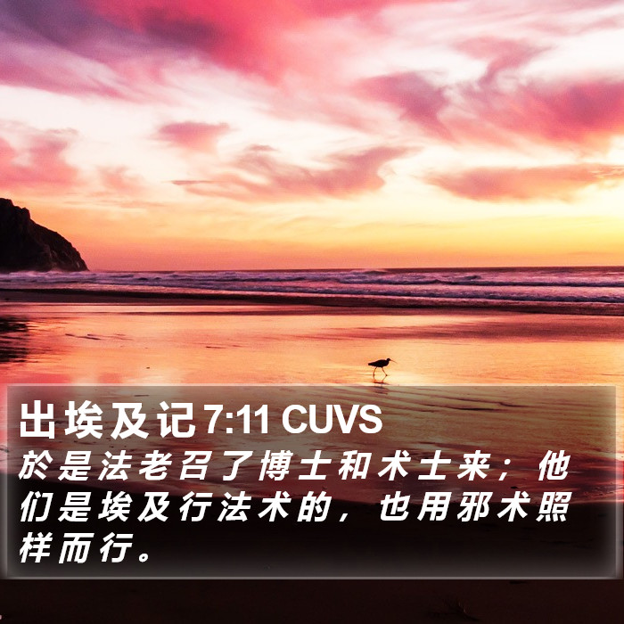 出 埃 及 记 7:11 CUVS Bible Study