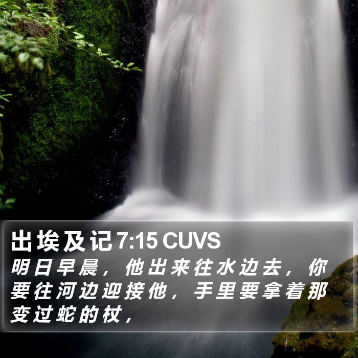 出 埃 及 记 7:15 CUVS Bible Study