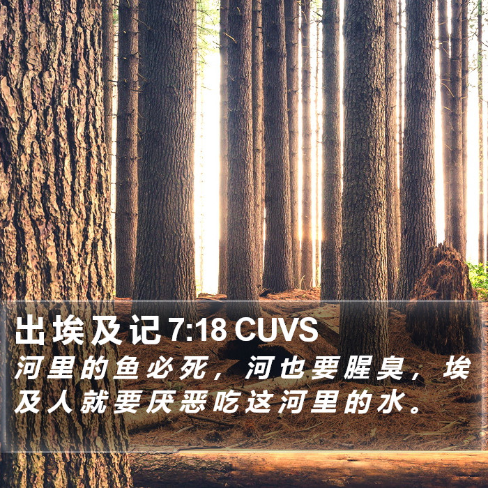 出 埃 及 记 7:18 CUVS Bible Study