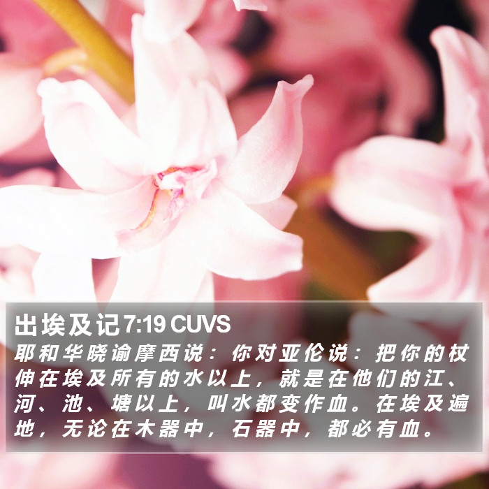出 埃 及 记 7:19 CUVS Bible Study