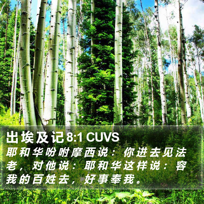 出 埃 及 记 8:1 CUVS Bible Study