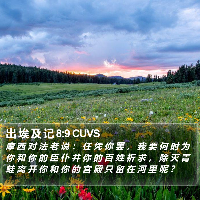 出 埃 及 记 8:9 CUVS Bible Study