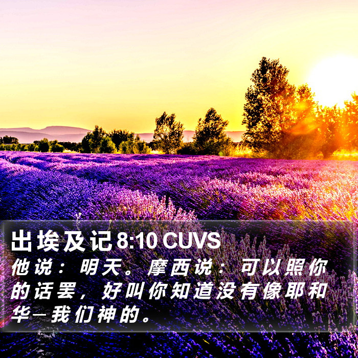 出 埃 及 记 8:10 CUVS Bible Study