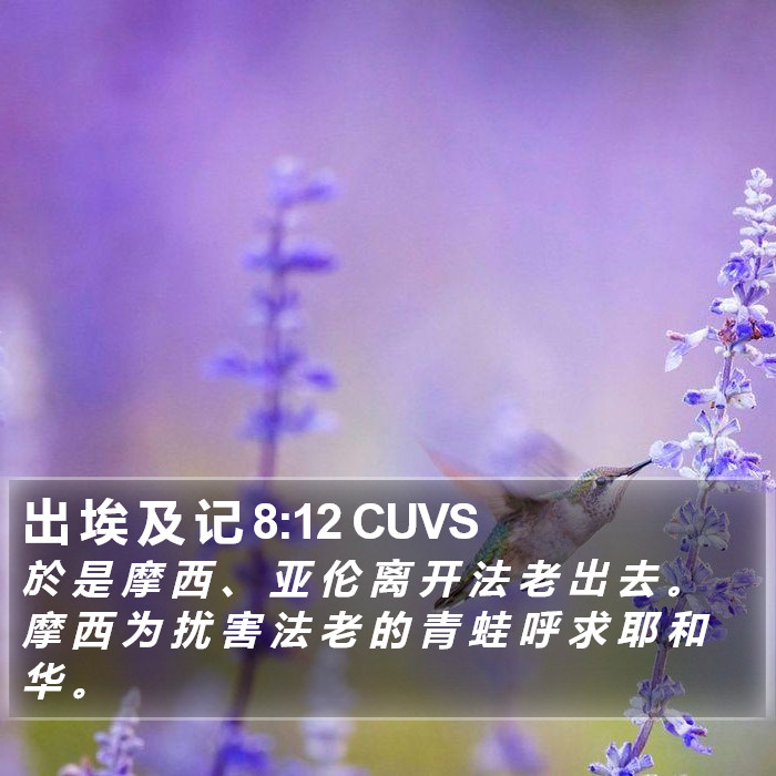 出 埃 及 记 8:12 CUVS Bible Study