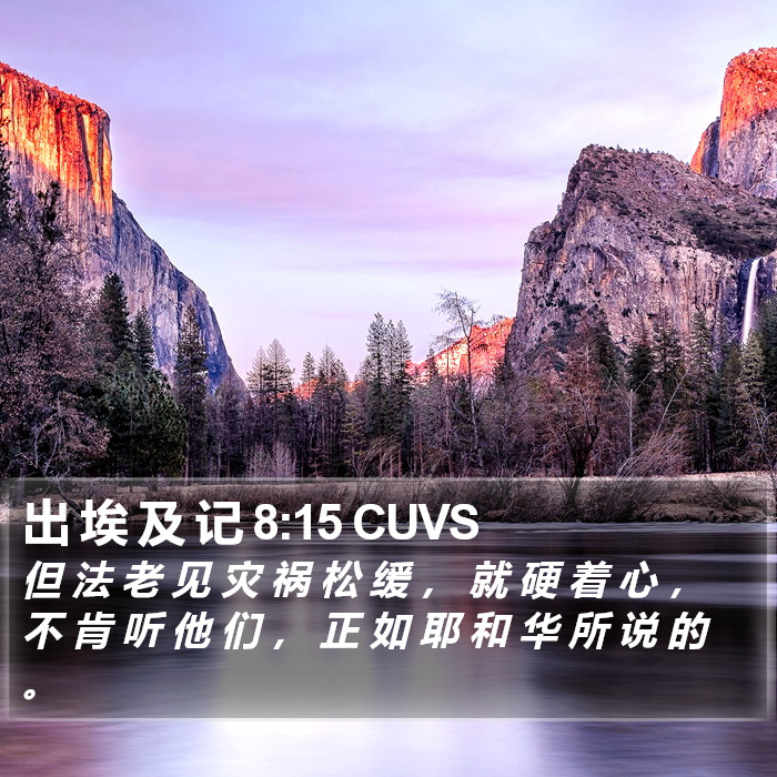 出 埃 及 记 8:15 CUVS Bible Study