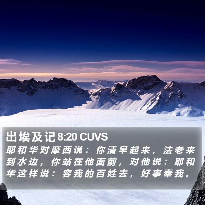 出 埃 及 记 8:20 CUVS Bible Study