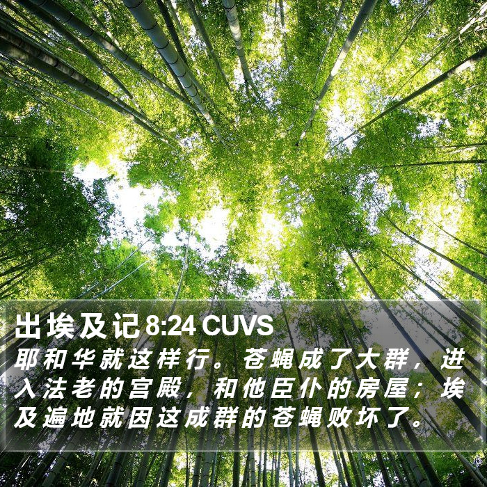 出 埃 及 记 8:24 CUVS Bible Study