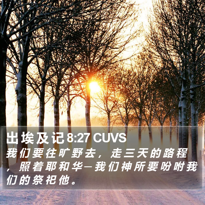 出 埃 及 记 8:27 CUVS Bible Study