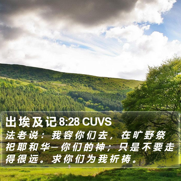 出 埃 及 记 8:28 CUVS Bible Study