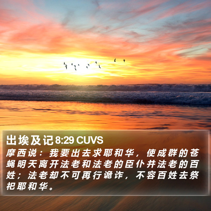 出 埃 及 记 8:29 CUVS Bible Study