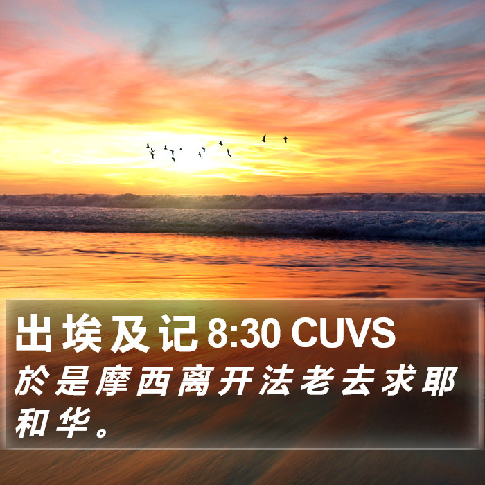 出 埃 及 记 8:30 CUVS Bible Study