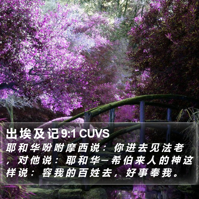 出 埃 及 记 9:1 CUVS Bible Study