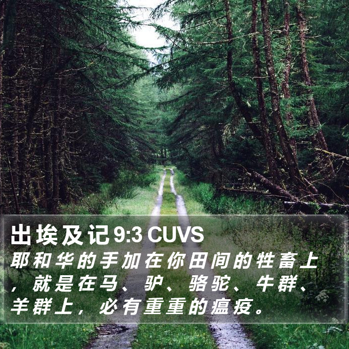 出 埃 及 记 9:3 CUVS Bible Study