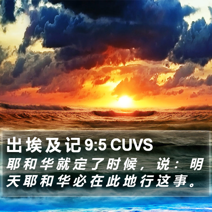 出 埃 及 记 9:5 CUVS Bible Study