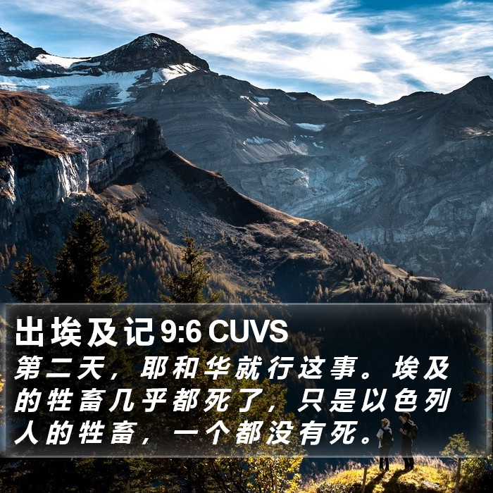 出 埃 及 记 9:6 CUVS Bible Study