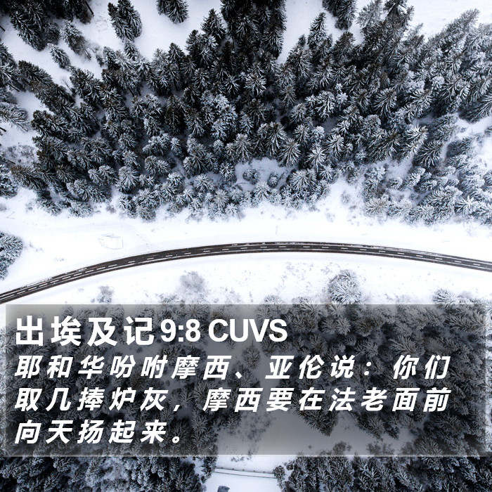 出 埃 及 记 9:8 CUVS Bible Study