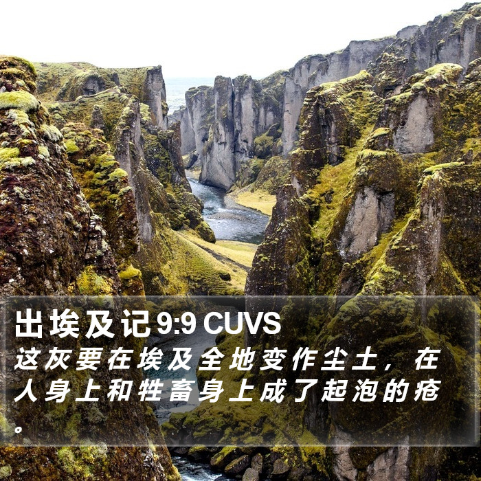 出 埃 及 记 9:9 CUVS Bible Study