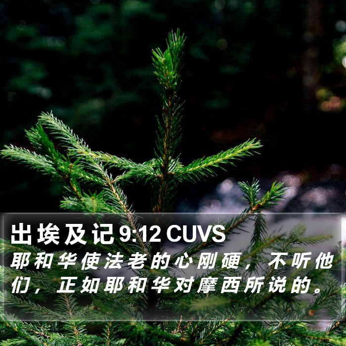 出 埃 及 记 9:12 CUVS Bible Study
