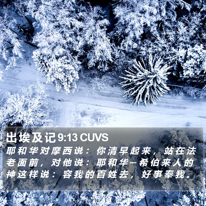 出 埃 及 记 9:13 CUVS Bible Study
