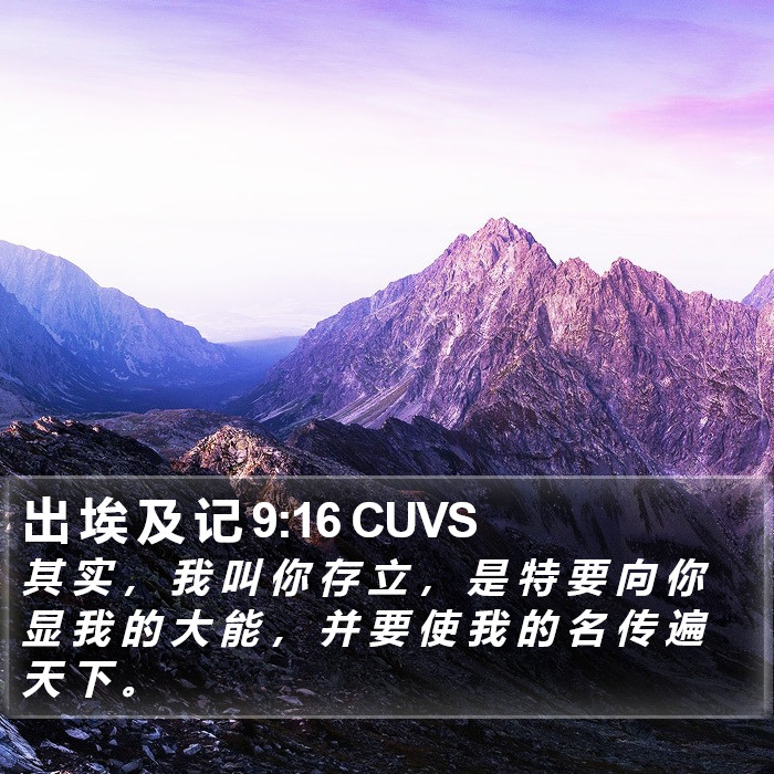 出 埃 及 记 9:16 CUVS Bible Study