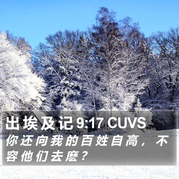 出 埃 及 记 9:17 CUVS Bible Study