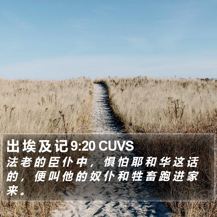 出 埃 及 记 9:20 CUVS Bible Study