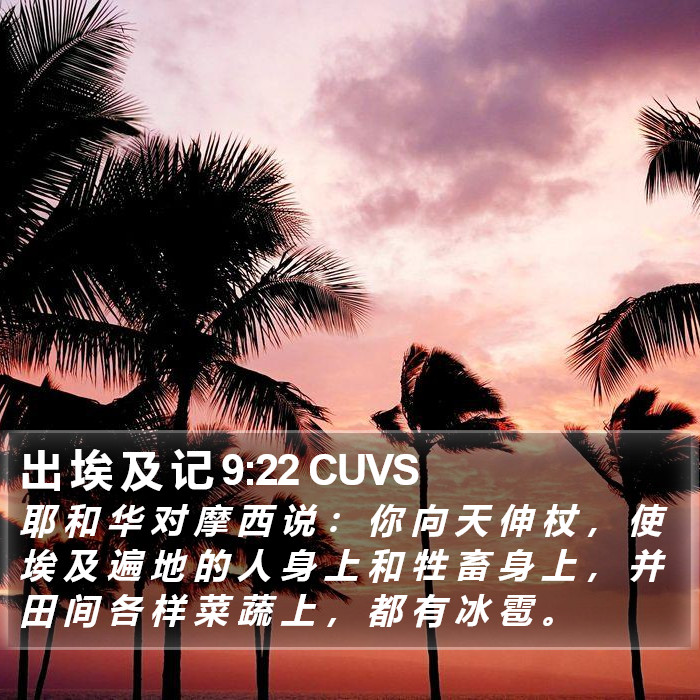 出 埃 及 记 9:22 CUVS Bible Study