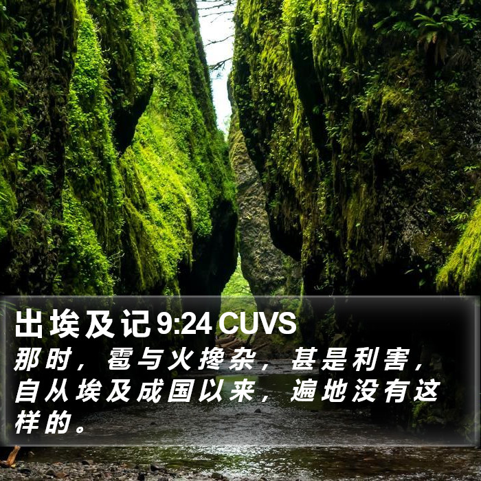 出 埃 及 记 9:24 CUVS Bible Study