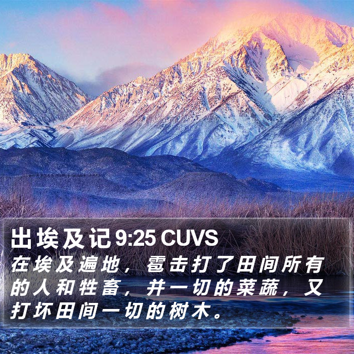 出 埃 及 记 9:25 CUVS Bible Study