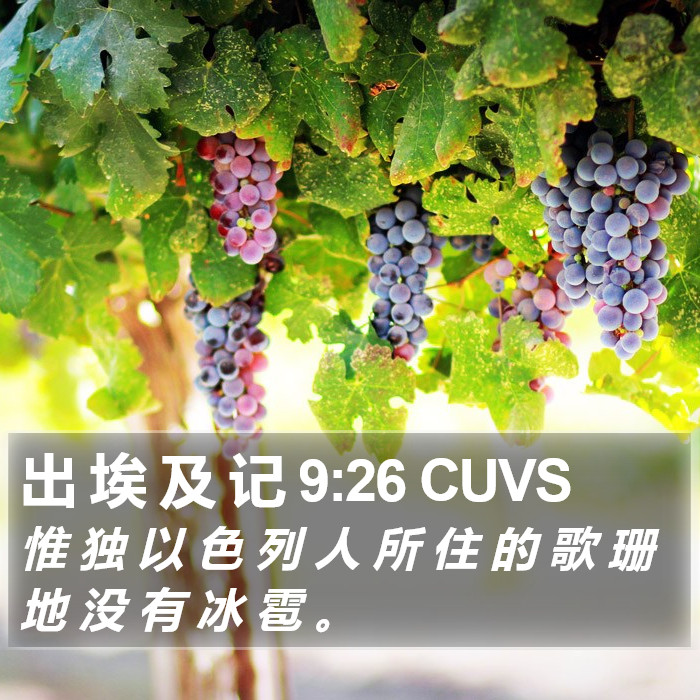 出 埃 及 记 9:26 CUVS Bible Study