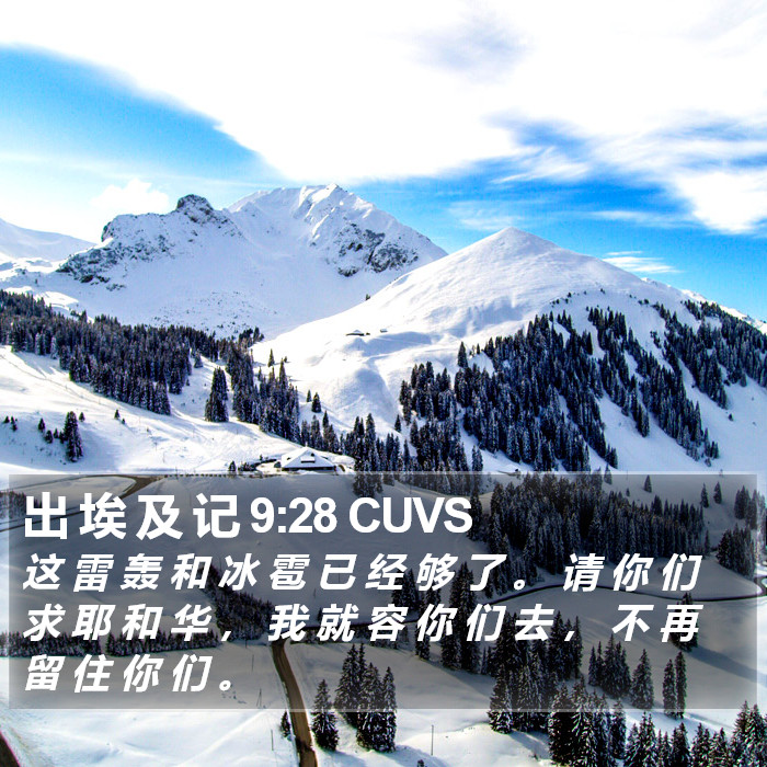 出 埃 及 记 9:28 CUVS Bible Study