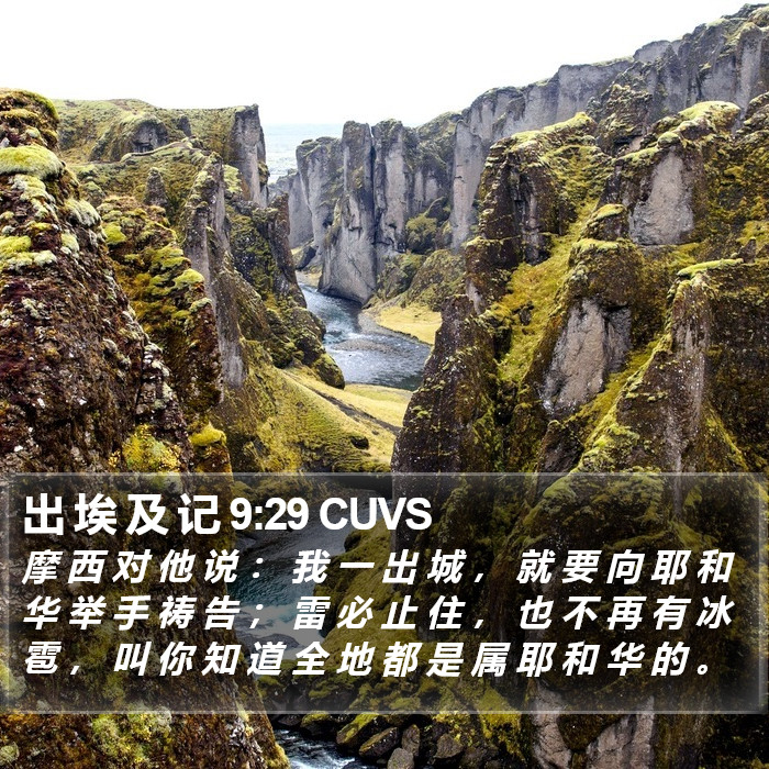 出 埃 及 记 9:29 CUVS Bible Study