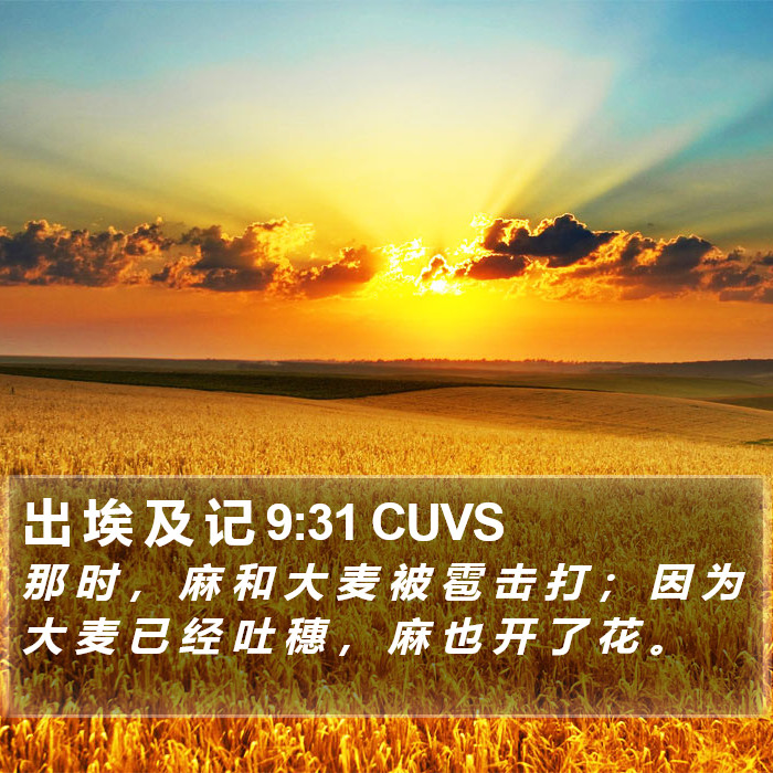 出 埃 及 记 9:31 CUVS Bible Study