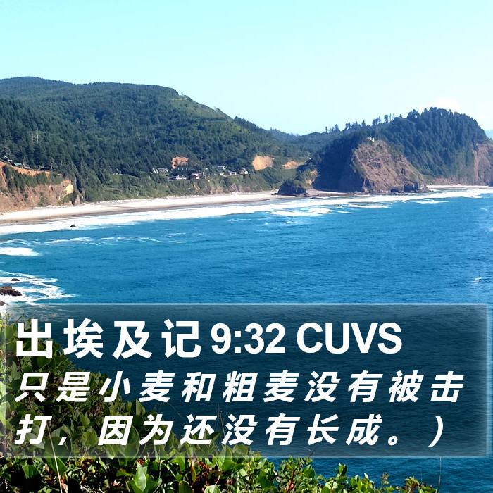 出 埃 及 记 9:32 CUVS Bible Study