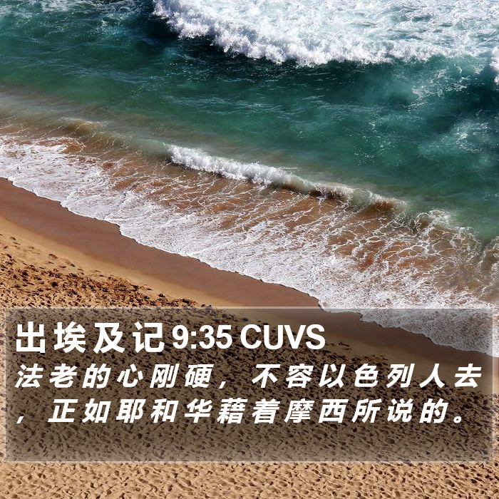 出 埃 及 记 9:35 CUVS Bible Study