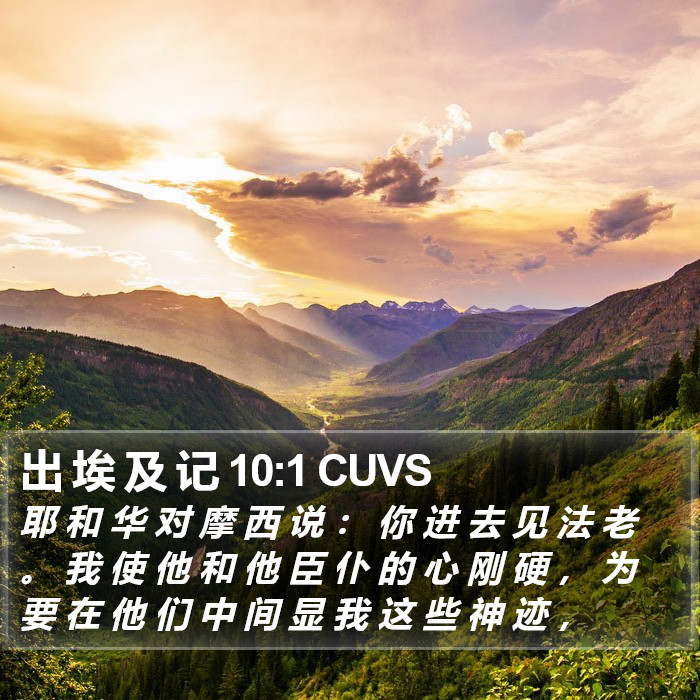 出 埃 及 记 10:1 CUVS Bible Study