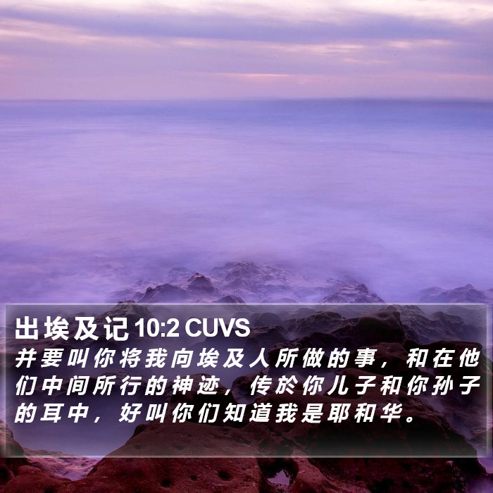 出 埃 及 记 10:2 CUVS Bible Study