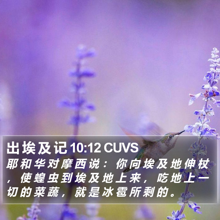 出 埃 及 记 10:12 CUVS Bible Study