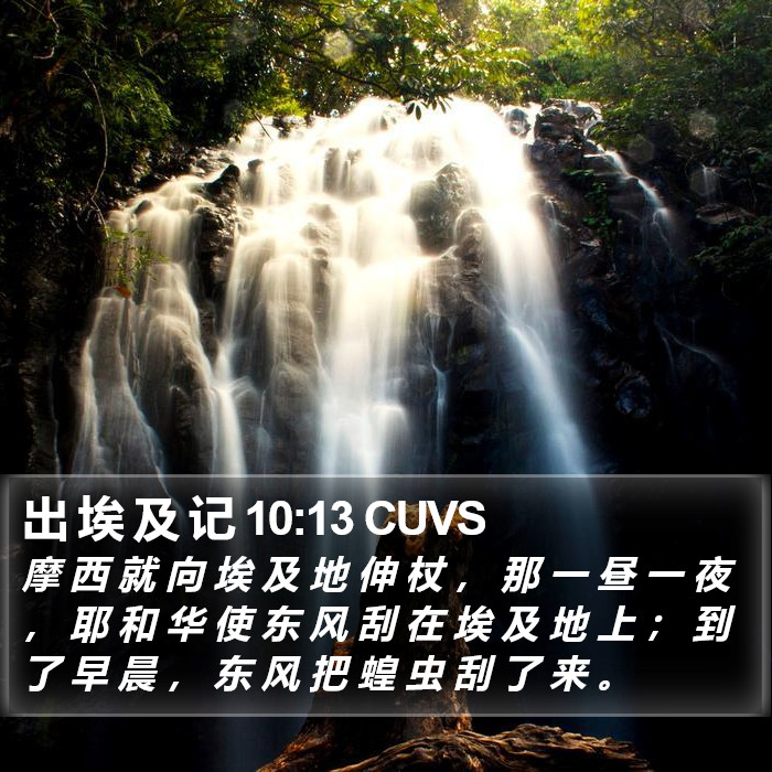 出 埃 及 记 10:13 CUVS Bible Study