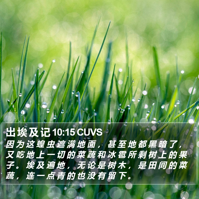 出 埃 及 记 10:15 CUVS Bible Study